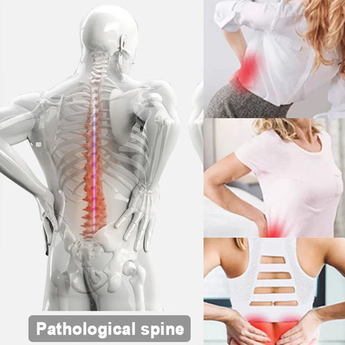 DAT Adjustable Lumbar Back Stretcher