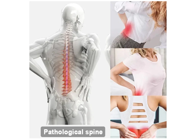 DAT Adjustable Lumbar Back Stretcher